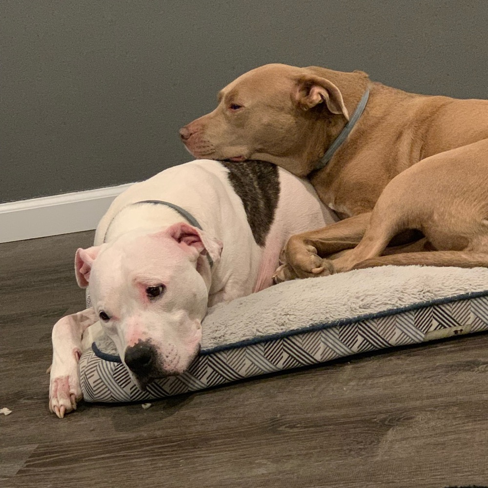 Meet your Posher, Greg